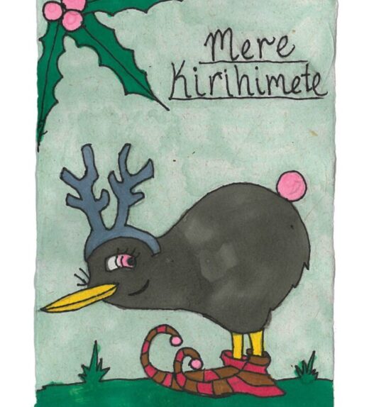 Ebonie's Christmas Kiwi