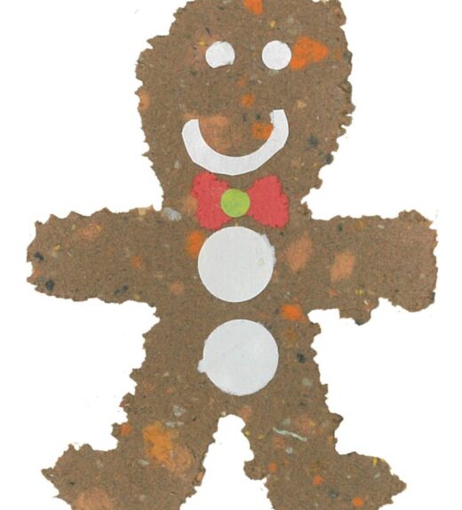 Rebecca's Gingerbread Man